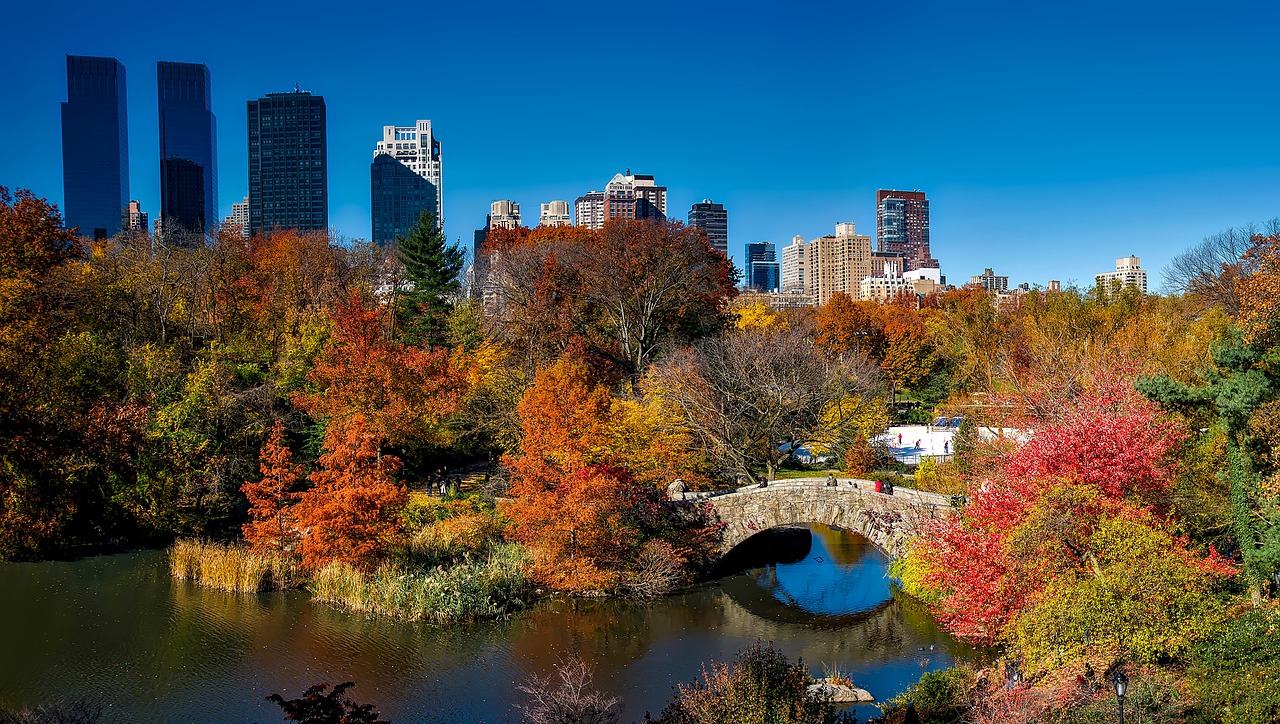 Com o seguro viagem Nova York aproveite para conhecer o Central Park