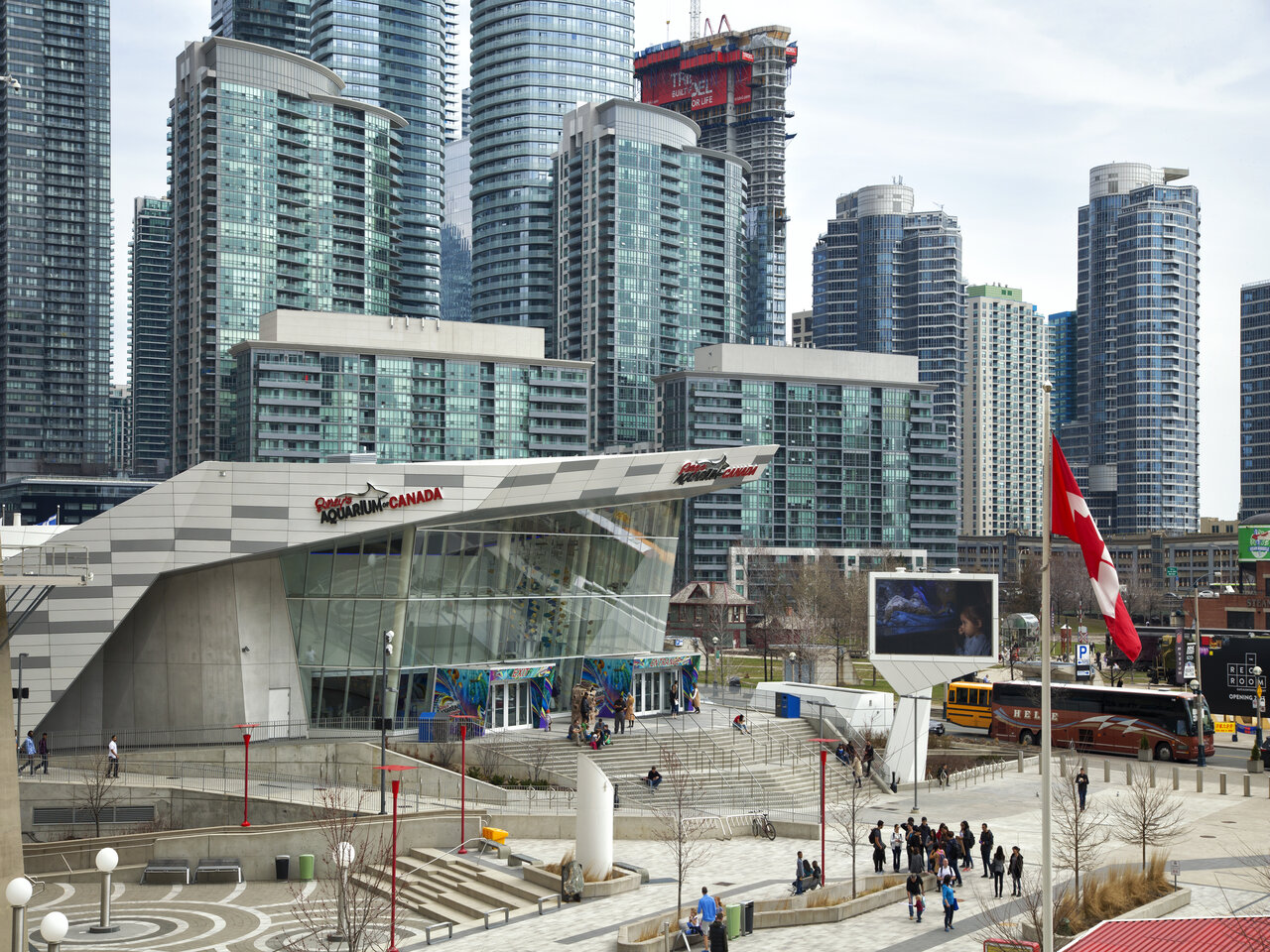 Quando visitar Toronto não deixe de conhecer o Ripley´s Aquarium of Canadá