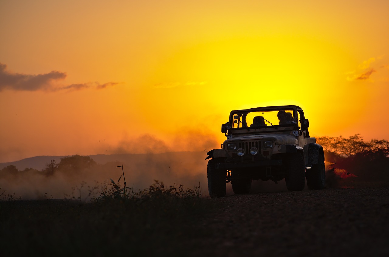 Cuidados necessários ao fazer passeios de jeep