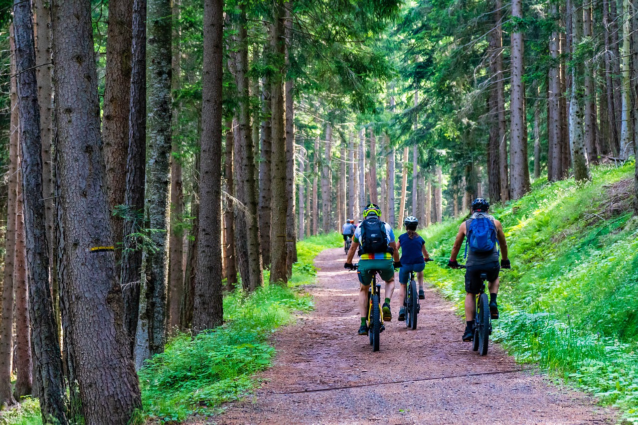 Dicas para fazer uma viagem de cicloturismo