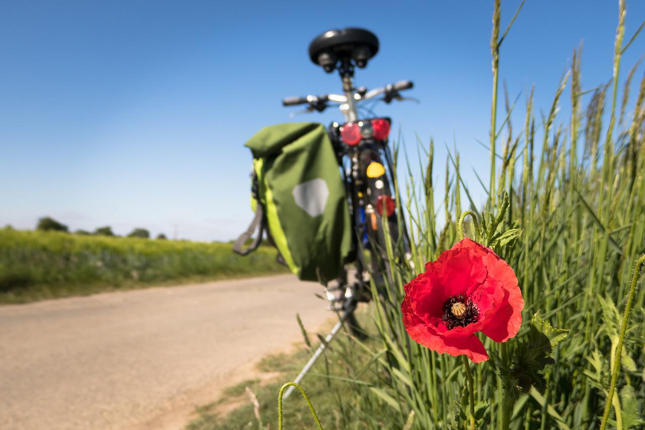 Por que fazer cicloturismo?