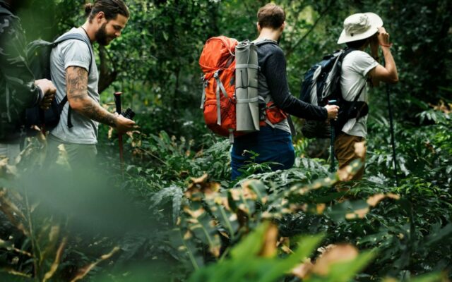 O ecoturismo é uma das principais opções de turismo de aventura (rawpixel.com/Freepik)