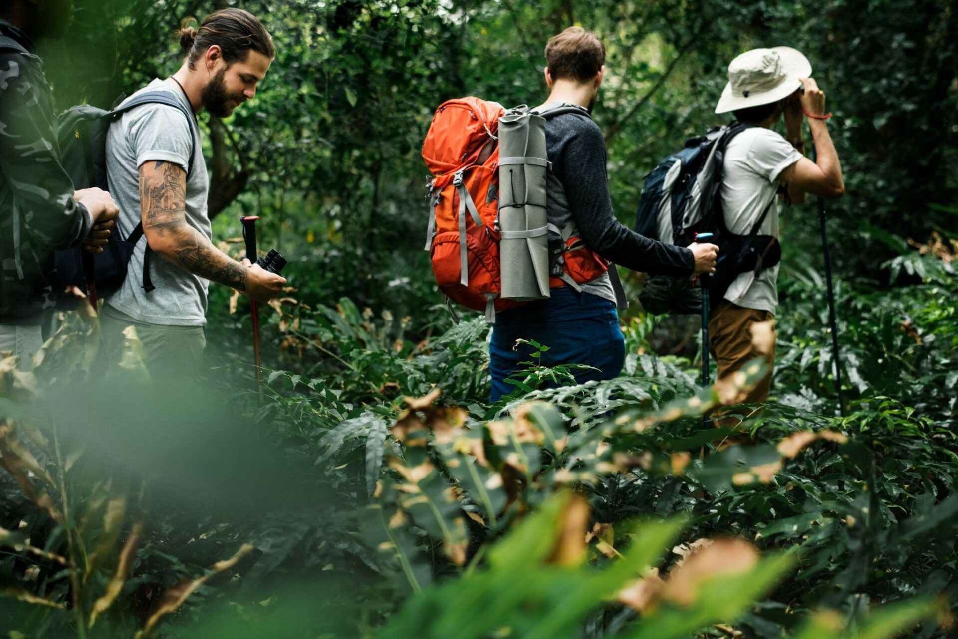 O ecoturismo é uma das principais opções de turismo de aventura (rawpixel.com/Freepik)