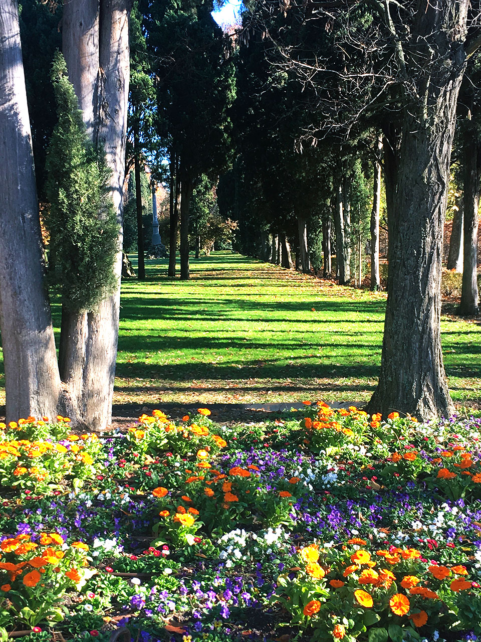Para quem gosta de natureza e belas paisagens vai adorar conhecer o Parque do Capricho em Madrid